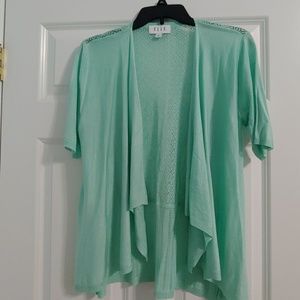 Elle Mint Short Sleeve Sweater